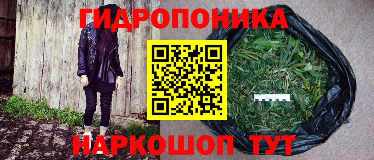 Саров  Бошки Шишки ГИДРОПОН  Бошки марихуана план  Вход с VPN  Шишки марихуана тримм 